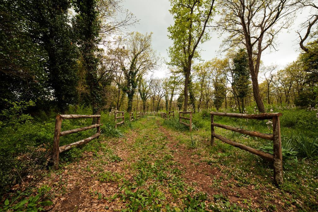 Tenute D'onghia Alloggio per agriturismo